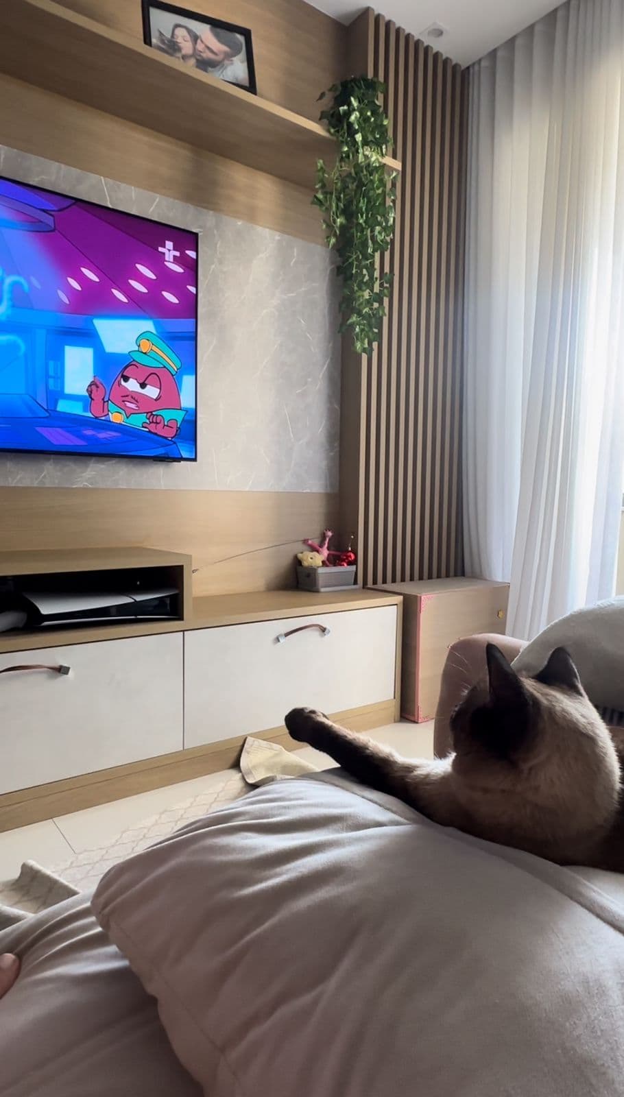1 ano de YouTube premium porque a Piuka não sabe pular comercial