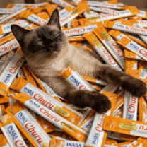 Petiscos pra Piuka nos perdoar na viagem de lua de mel